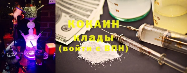 крисы Арсеньев