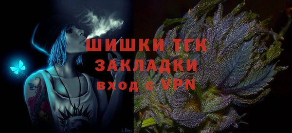 прущие грибы Аркадак